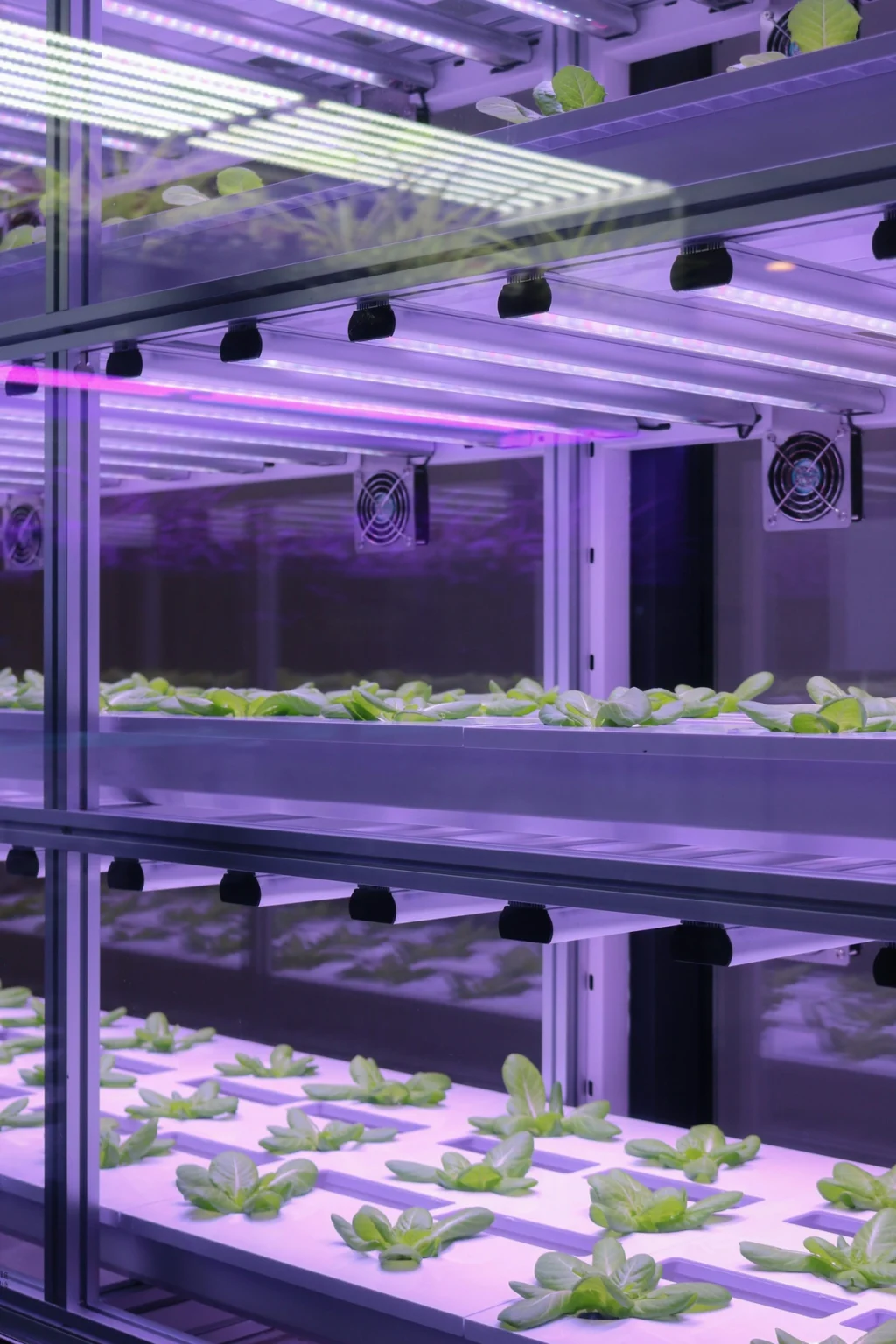 Feeding the future together
